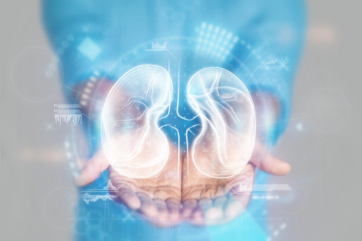 nephrology